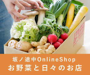JFRカードのポイントサイト比較