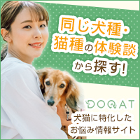 DOQATのポイントサイト比較