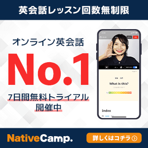 ナチュラム(naturam)アウトドアショップのポイントサイト比較