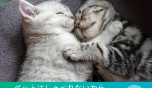 猫の遺伝子検査・DNA検査（Pontely）のポイントサイト比較