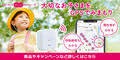 ペットベリー（犬用品通販）のポイントサイト比較