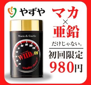 にんにく卵黄WILD（やずや）初回980円のポイントサイト比較