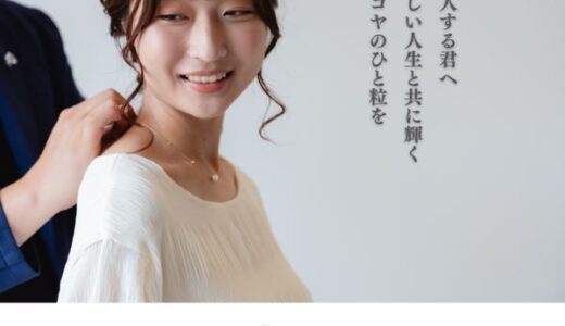 乙女の乳酸菌(酵素・乳酸菌ダイエット)のポイントサイト比較