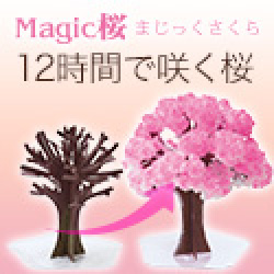 マジック桜（Magic桜）のポイントサイト比較
