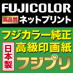 地球家具のポイントサイト比較