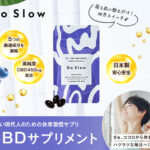木製3Dパズル【Wood Trick】