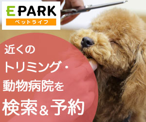 フラワーメッセージお花屋さん(キャラクターフラワーギフト)のポイントサイト比較