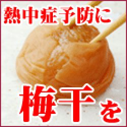 セノビック（ロート製薬）500円モニターのポイントサイト比較