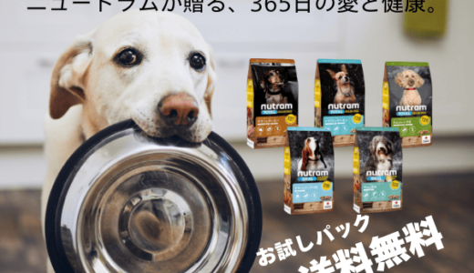 オーダースーツ佐田のポイントサイト比較