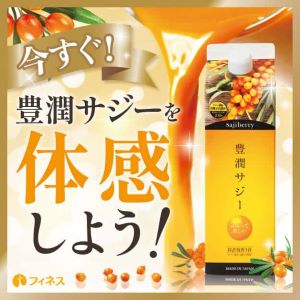 ドロシーズ（DRWCYS）のポイントサイト比較
