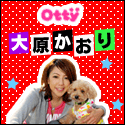 PEPPY(ペピイ)ブラッシングのポイントサイト比較