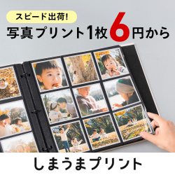 安心・安全の火災保険活用の教科書のポイントサイト比較