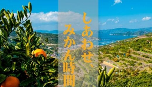 恋愛酵素のポイントサイト比較