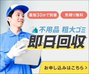 MIVA(ぱっちりしたうるうるクリア女子へ)のポイントサイト比較