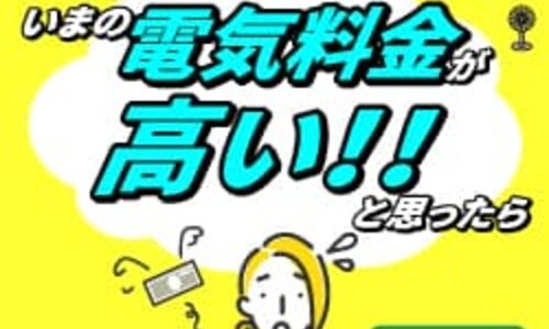 ガイアネット「アイシスオーガニック生活便」のポイントサイト比較