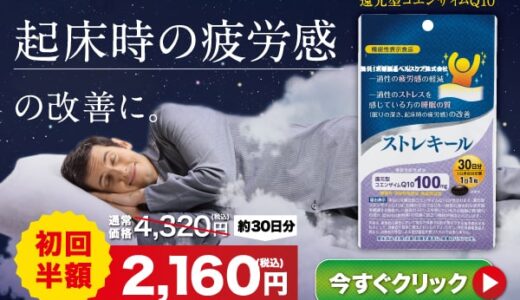 ポケットモバイル（WiFi）のポイントサイト比較
