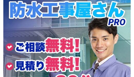 コスプレカラコン「アイトルテ」のポイントサイト比較