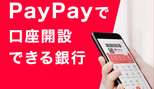 セフィーヌ シルクウェットパウダー（スターターキット）のポイントサイト比較