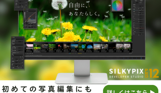 SILKYPIX Developer Studio Pro10のポイントサイト比較