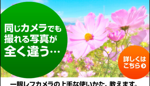 一眼レフカメラ上達講座 ３弾セットのポイントサイト比較