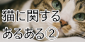 猫に関するあるあるメディア②【スマホ専用】のポイントサイト比較