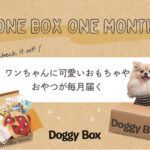 Doggy Box（愛犬向けおもちゃとおやつの定期便）
