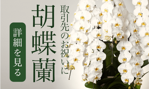 大家.com（口座開設）のポイントサイト比較