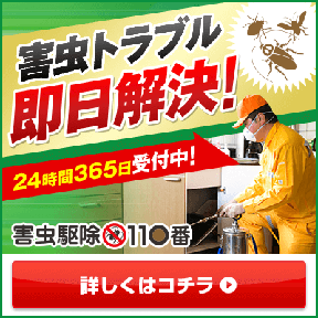 スマルナ（Android）のポイントサイト比較