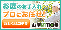 アークナイツ(iOS)のポイントサイト比較