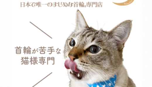 ウミガメ育成(ウミガメの大きさ1,400mm達成)iOSのポイントサイト比較