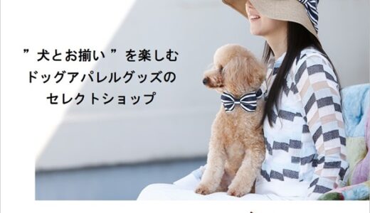 パチパチ動画(1,100円コース)のポイントサイト比較