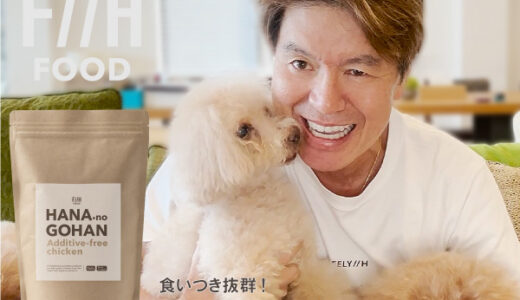 PUNCH☆（550円コース）のポイントサイト比較