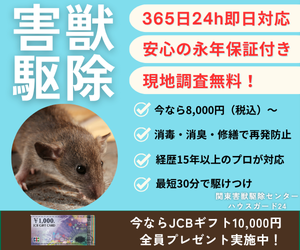 NDS（火災保険調査代行サービス）のポイントサイト比較