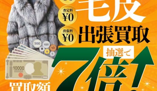 膣トレ「LCインナーボール&LCジャムウ・デリケートパック」のポイントサイト比較