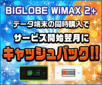 ポイントが一番高いBIGLOBE WiMAX 2+（SIMのみ）
