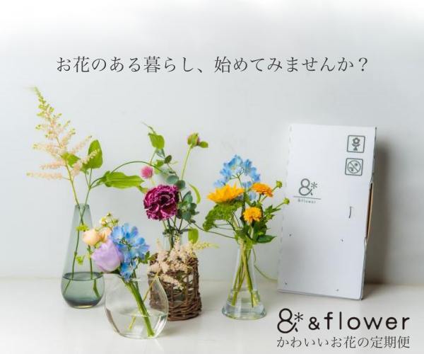 &flowerのお花の定期便のポイントサイト比較