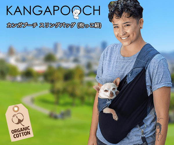 KANGAPOOCH（カンガプーチ）のポイントサイト比較
