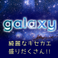 きせかえgalaxy（550円コース）のポイントサイト比較