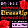 DressUp（330円コース）のポイントサイト比較