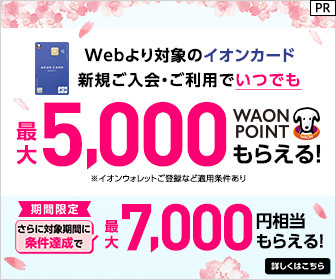 ポイントが一番高いイオンカード（WAON一体型）発行+ショッピング利用