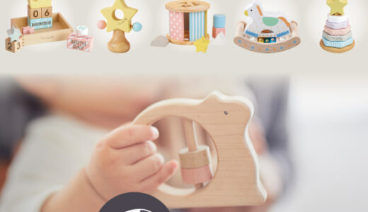エドインター公式オンラインショップ（木製知育玩具）のポイントサイト比較