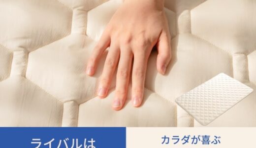 SLEEP HEXAGON（ホルミシス敷パッド）のポイントサイト比較