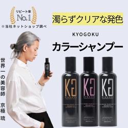 KYOGOKU PROFESSIONAL（カラーシャンプー）のポイントサイト比較