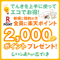 シナネンあかりの森でんきのポイントサイト比較