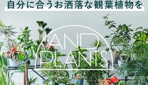 AND PLANTS（アンドプランツ）のポイントサイト比較