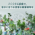 AND PLANTS（アンドプランツ）のポイントサイト比較