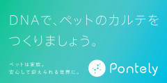 イビザストア（Yahoo!店）のポイントサイト比較