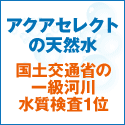 いち利モール（着物通販）のポイントサイト比較