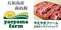 くまポン（メディカルダイエット特集）のポイントサイト比較