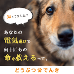 Good Hammond（グッドハモンド）Yahoo!店のポイントサイト比較